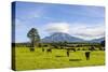 Mount Taranaki, North Island, New Zealand, Pacific-Michael Runkel-Stretched Canvas
