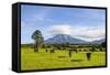 Mount Taranaki, North Island, New Zealand, Pacific-Michael Runkel-Framed Stretched Canvas