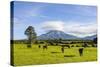 Mount Taranaki, North Island, New Zealand, Pacific-Michael Runkel-Stretched Canvas