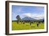 Mount Taranaki, North Island, New Zealand, Pacific-Michael Runkel-Framed Photographic Print