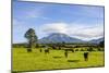 Mount Taranaki, North Island, New Zealand, Pacific-Michael Runkel-Mounted Photographic Print