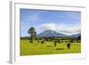 Mount Taranaki, North Island, New Zealand, Pacific-Michael Runkel-Framed Photographic Print