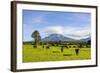 Mount Taranaki, North Island, New Zealand, Pacific-Michael Runkel-Framed Photographic Print