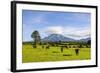 Mount Taranaki, North Island, New Zealand, Pacific-Michael Runkel-Framed Photographic Print