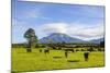 Mount Taranaki, North Island, New Zealand, Pacific-Michael Runkel-Mounted Photographic Print