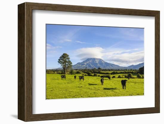 Mount Taranaki, North Island, New Zealand, Pacific-Michael Runkel-Framed Photographic Print