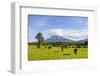 Mount Taranaki, North Island, New Zealand, Pacific-Michael Runkel-Framed Photographic Print