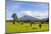 Mount Taranaki, North Island, New Zealand, Pacific-Michael Runkel-Mounted Photographic Print