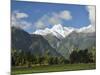 Mount Tasman and Cook Flat, Westland Tai Poutini National Park, New Zealand-Jochen Schlenker-Mounted Photographic Print