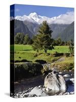 Mount Tasman and Cook Flat, Westland Tai Poutini National Park, UNESCO World Heritage Site, NZ-Jochen Schlenker-Stretched Canvas