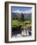 Mount Tasman and Cook Flat, Westland Tai Poutini National Park, UNESCO World Heritage Site, NZ-Jochen Schlenker-Framed Photographic Print