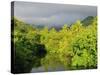 Mount Tefatua and Tropical Rainforest, Raiatea, French Polynesia, South Pacific Ocean, Pacific-Jochen Schlenker-Stretched Canvas