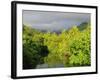 Mount Tefatua and Tropical Rainforest, Raiatea, French Polynesia, South Pacific Ocean, Pacific-Jochen Schlenker-Framed Photographic Print