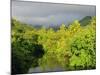 Mount Tefatua and Tropical Rainforest, Raiatea, French Polynesia, South Pacific Ocean, Pacific-Jochen Schlenker-Mounted Photographic Print