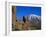 Mount Teide and Las Roques, Tenerife, Canary Islands, Spain-Jean Brooks-Framed Photographic Print