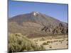 Mount Teide from Llano De Ucanca, Tenerife, Canary Islands, Spain, Europe-Rolf Richardson-Mounted Photographic Print