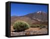 Mount Teide, Parque Nacional De Las Canadas Del Teide Tenerife, Canary Islands-White Gary-Framed Stretched Canvas