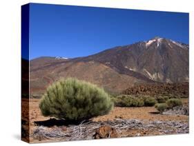 Mount Teide, Parque Nacional De Las Canadas Del Teide Tenerife, Canary Islands-White Gary-Stretched Canvas