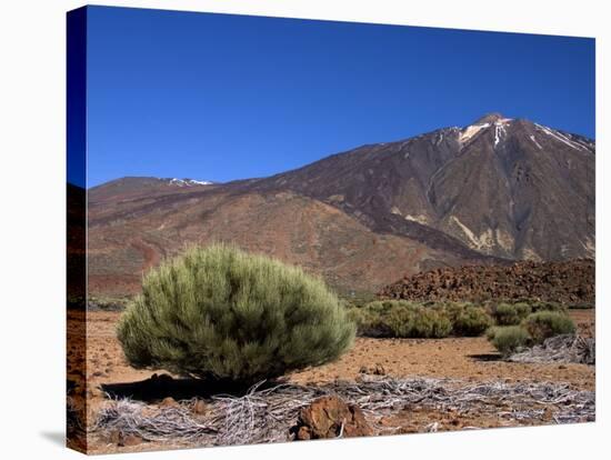 Mount Teide, Parque Nacional De Las Canadas Del Teide Tenerife, Canary Islands-White Gary-Stretched Canvas