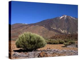 Mount Teide, Parque Nacional De Las Canadas Del Teide Tenerife, Canary Islands-White Gary-Stretched Canvas