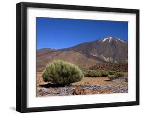 Mount Teide, Parque Nacional De Las Canadas Del Teide Tenerife, Canary Islands-White Gary-Framed Photographic Print