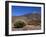 Mount Teide, Parque Nacional De Las Canadas Del Teide Tenerife, Canary Islands-White Gary-Framed Photographic Print