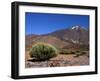 Mount Teide, Parque Nacional De Las Canadas Del Teide Tenerife, Canary Islands-White Gary-Framed Photographic Print