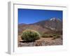 Mount Teide, Parque Nacional De Las Canadas Del Teide Tenerife, Canary Islands-White Gary-Framed Photographic Print