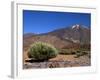 Mount Teide, Parque Nacional De Las Canadas Del Teide Tenerife, Canary Islands-White Gary-Framed Photographic Print
