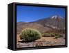 Mount Teide, Parque Nacional De Las Canadas Del Teide Tenerife, Canary Islands-White Gary-Framed Stretched Canvas