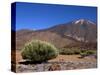Mount Teide, Parque Nacional De Las Canadas Del Teide Tenerife, Canary Islands-White Gary-Stretched Canvas