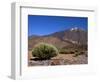 Mount Teide, Parque Nacional De Las Canadas Del Teide Tenerife, Canary Islands-White Gary-Framed Photographic Print