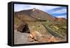 Mount Teide, Parque Nacional Del Teide, Tenerife, Canary Islands, 2007-Peter Thompson-Framed Stretched Canvas