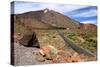 Mount Teide, Parque Nacional Del Teide, Tenerife, Canary Islands, 2007-Peter Thompson-Stretched Canvas