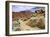 Mount Teide, Parque Nacional Del Teide, Tenerife, Canary Islands, 2007-Peter Thompson-Framed Photographic Print