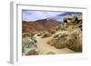 Mount Teide, Parque Nacional Del Teide, Tenerife, Canary Islands, 2007-Peter Thompson-Framed Photographic Print