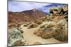 Mount Teide, Parque Nacional Del Teide, Tenerife, Canary Islands, 2007-Peter Thompson-Mounted Photographic Print