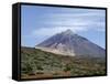 Mount Teide (Pico De Teide), Teide National Park, Tenerife, Canary Islands, Spain, Atlantic-Sergio Pitamitz-Framed Stretched Canvas