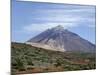 Mount Teide (Pico De Teide), Teide National Park, Tenerife, Canary Islands, Spain, Atlantic-Sergio Pitamitz-Mounted Photographic Print