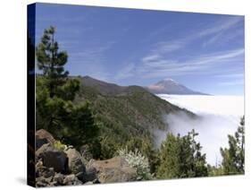 Mount Teide (Pico De Teide), Tenerife, Canary Islands, Spain-Sergio Pitamitz-Stretched Canvas