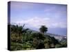 Mount Teide, Tenerife, Canary Islands, Spain, Atlantic-John Miller-Stretched Canvas