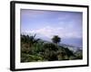 Mount Teide, Tenerife, Canary Islands, Spain, Atlantic-John Miller-Framed Photographic Print