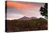 Mount Teide, Volcano on Tenerife, Canary Islands, 2007-Peter Thompson-Stretched Canvas