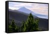 Mount Teide, Volcano on Tenerife, Canary Islands, 2007-Peter Thompson-Framed Stretched Canvas