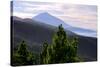 Mount Teide, Volcano on Tenerife, Canary Islands, 2007-Peter Thompson-Stretched Canvas