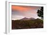 Mount Teide, Volcano on Tenerife, Canary Islands, 2007-Peter Thompson-Framed Photographic Print