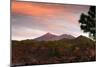 Mount Teide, Volcano on Tenerife, Canary Islands, 2007-Peter Thompson-Mounted Photographic Print