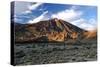 Mount Teide Volcano, Parque Nacional Del Teide, Tenerife, Canary Islands, 2007-Peter Thompson-Stretched Canvas