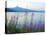 Mount Thielson, Fireweed, Epilobium Angustifolium, Diamond Lake, Douglas County, Oregon, USA-Christian Heeb-Stretched Canvas