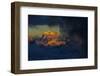 Mount Ushba (4,710M) before Sunset, with Low Clouds in Valleys, Seen from Elbrus, Caucasus, Russia-Schandy-Framed Photographic Print